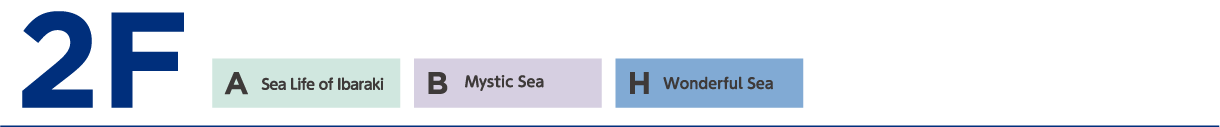 2F