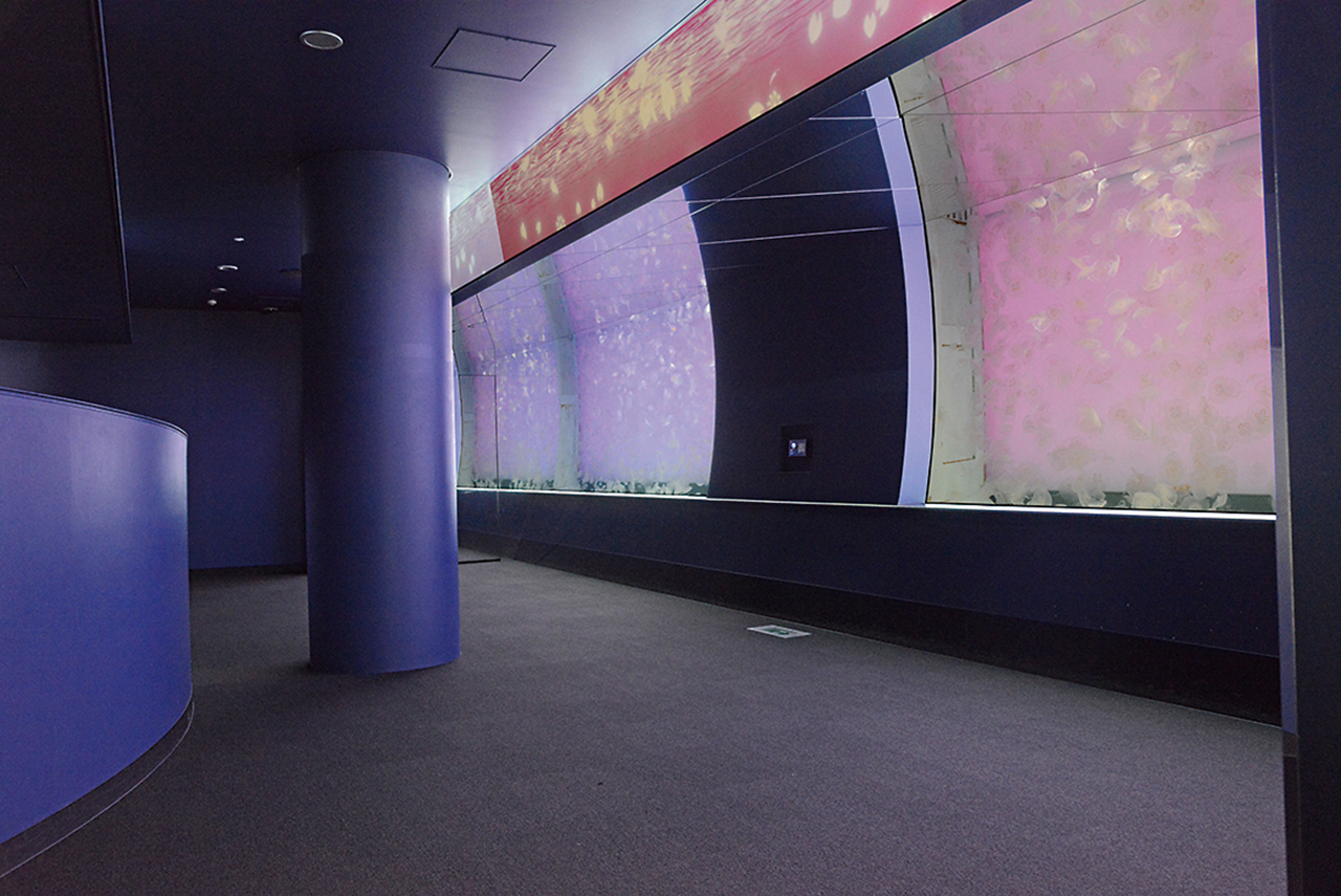 Về việc tạm dừng sử dụng bể cá VR (SHARKRIUM) trong Phòng của Bố Cá Mập