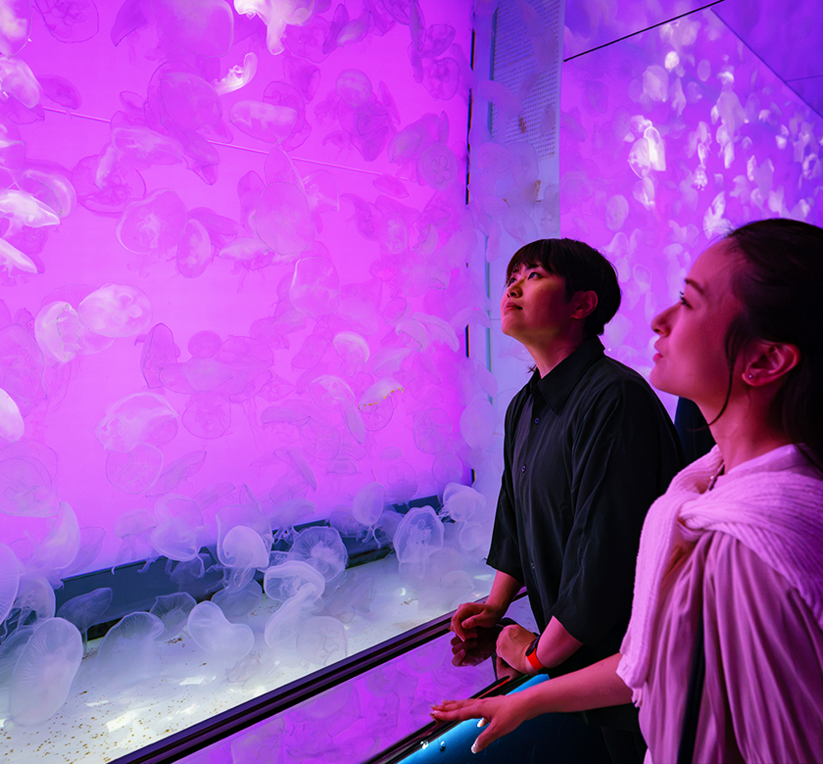 年間パスポート | アクアワールド茨城県大洗水族館【公式】