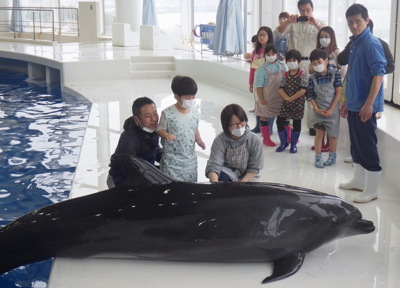 2020년 2월 22일(토) 돌고래 사육 체험