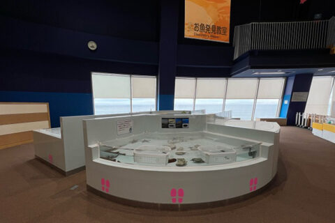 お魚発見教室の展示水槽