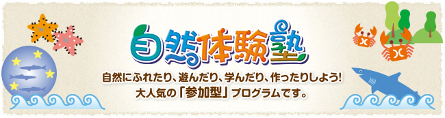 自然体験塾　自然にふれたり、遊んだり、学んだり、作ったりしよう！大人気の「参加型」プログラムです。
