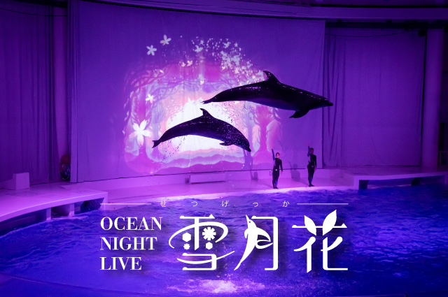 NIGHT AQUAWORLD New Ocean Night Live ~ Setsugekka ~