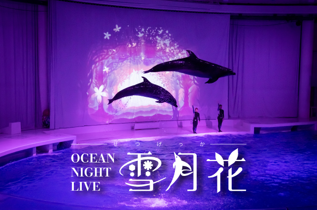 NIGHT AQUAWORLD 新オーシャンナイトライブ～雪月花～