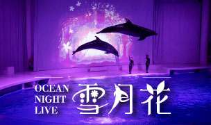 夜間限定の「オーシャンナイトライブ 雪月花」