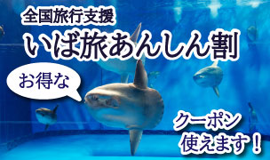 全国旅行支援「いば旅あんしん割」