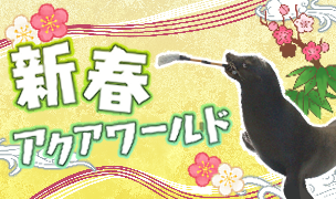 新春アクアワールド2026開催中