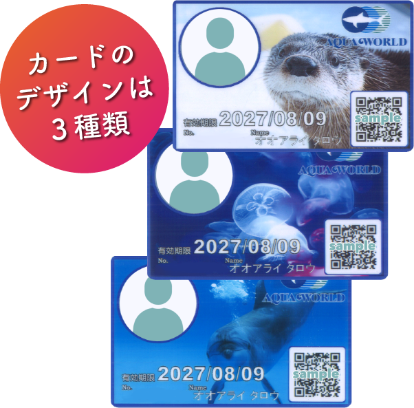 年間パスポートカードデザイン