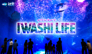 “IWASHI LIFE” has been updated!