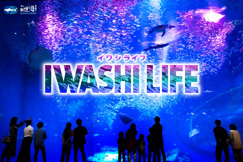 Upgraded from May 5th (Thursday)!New IWASHI LIFE