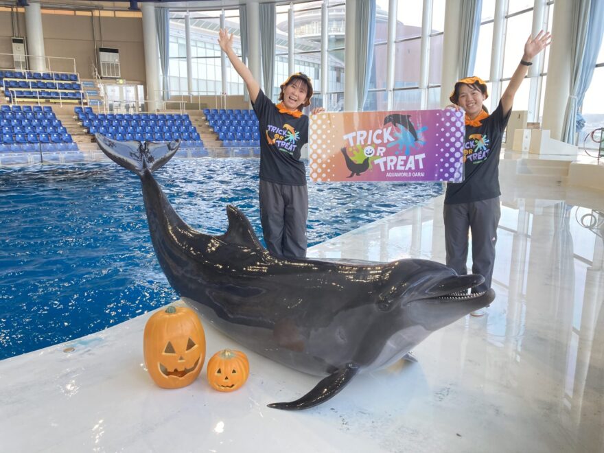 アクアワールド大洗水族館☆イルカ☆記念メダル☆茶平工業 - 雑貨