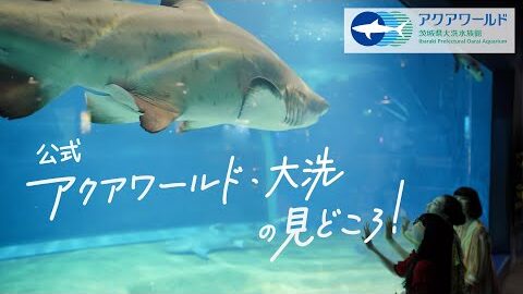 [เป็นทางการ] ไฮไลท์ของ Aqua World Oarai!ฉบับสรุป