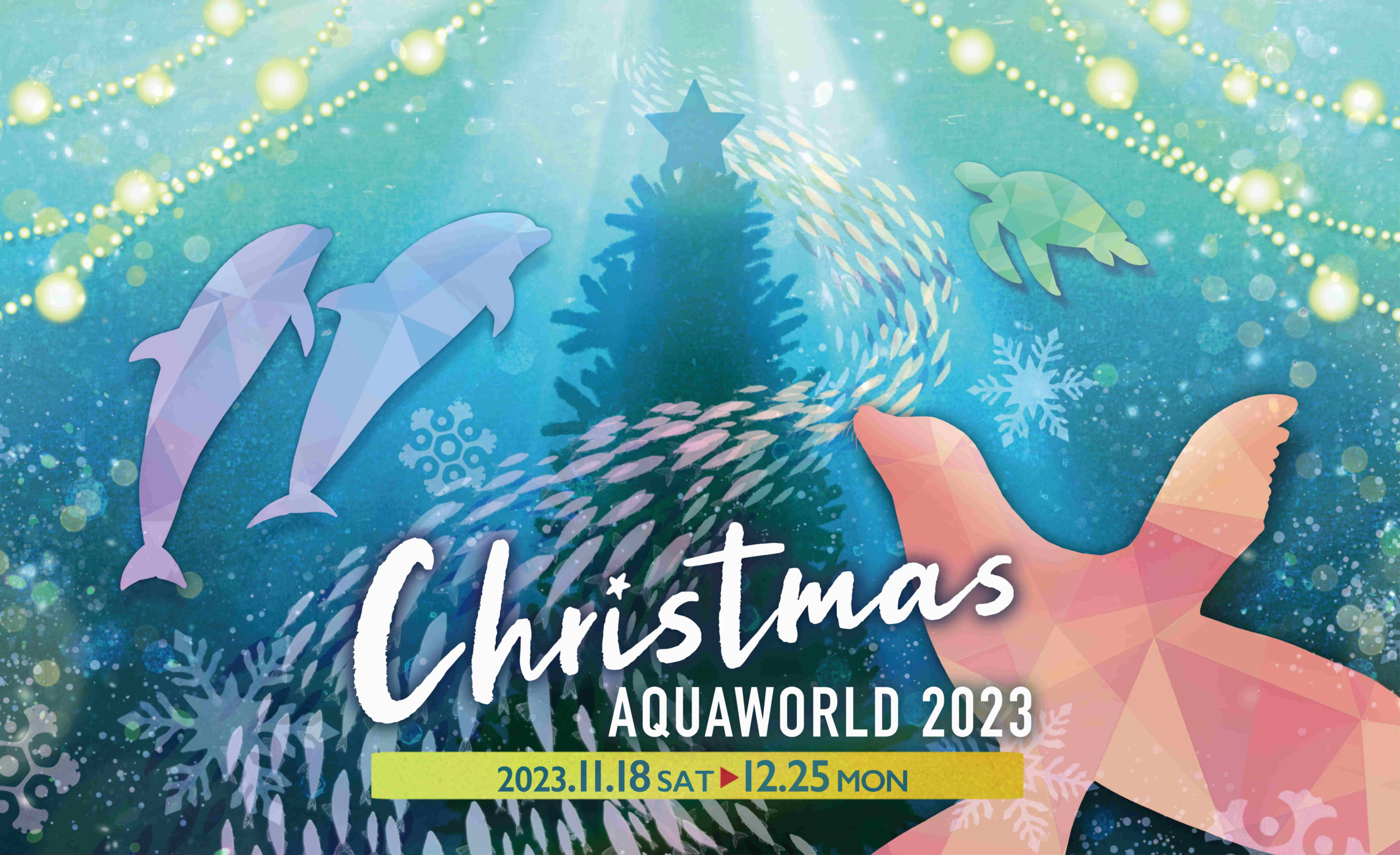 “圣诞水上世界11”从18月2023日开始♪