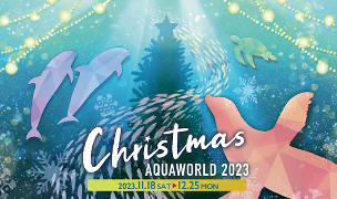 Christmas Aqua World 2023 is underway ♪