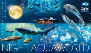 NIGHT AQUAWORLD will be renewed in December 2023