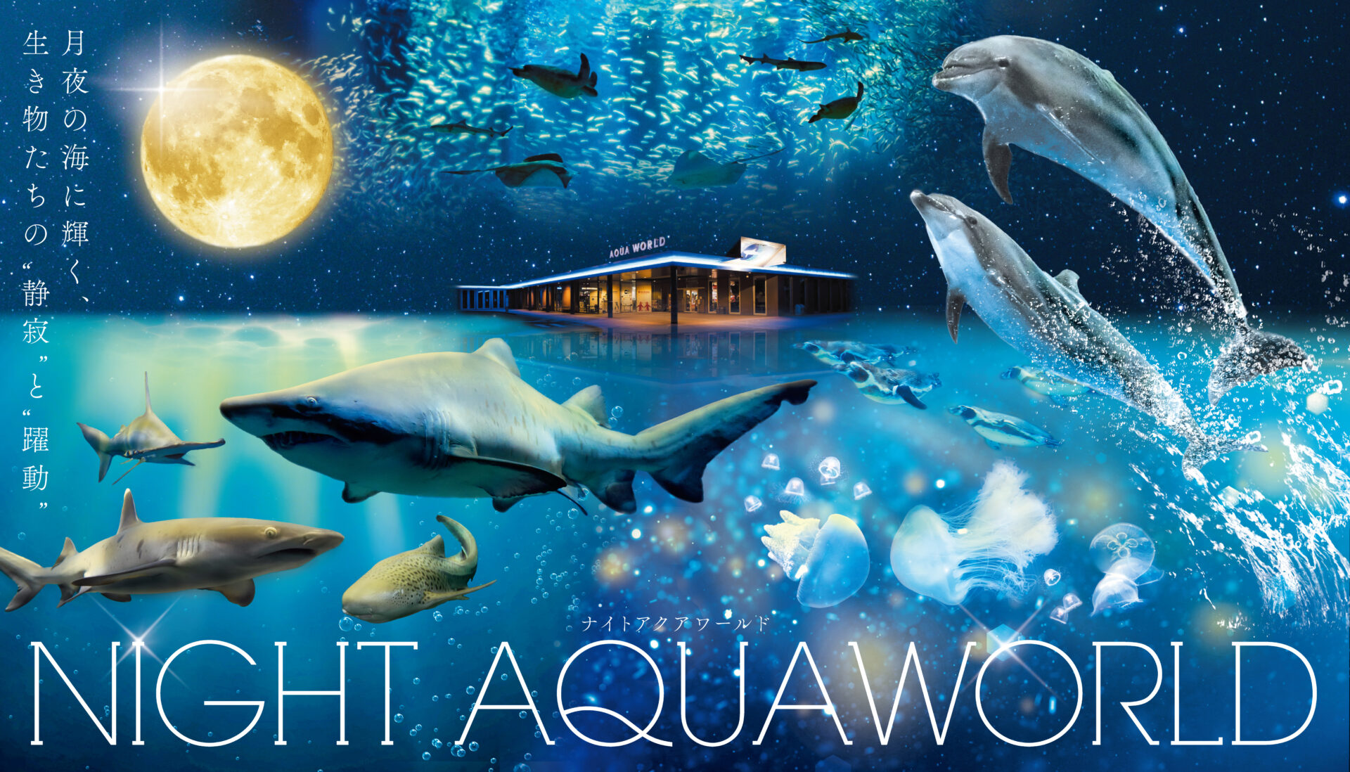 夜の新世海“NIGHT AQUAWORLD” 2023年12月よりリニューアル！