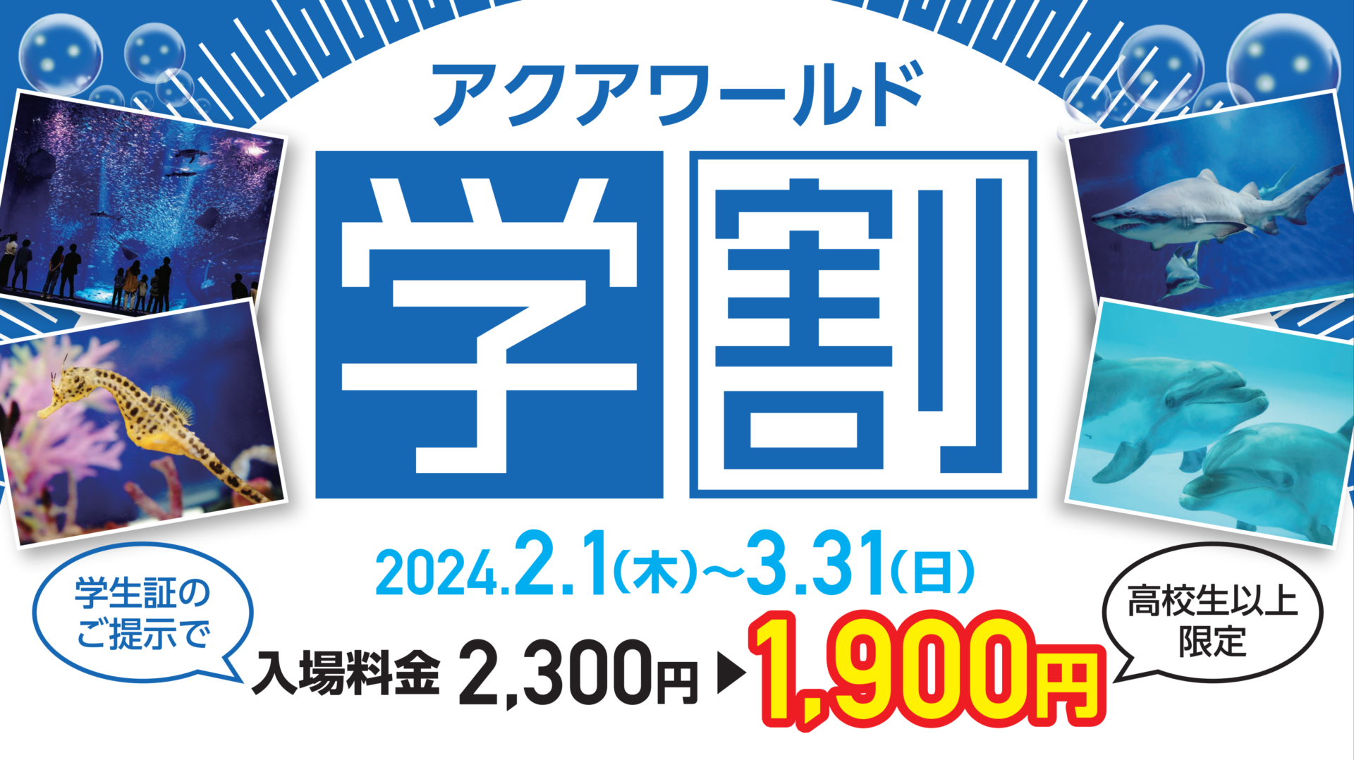 The “Aqua World Student Discount” campaign starts again this year from February 2st (Thursday)!