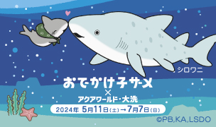 Salir tiburón bebé x Aqua World Oarai