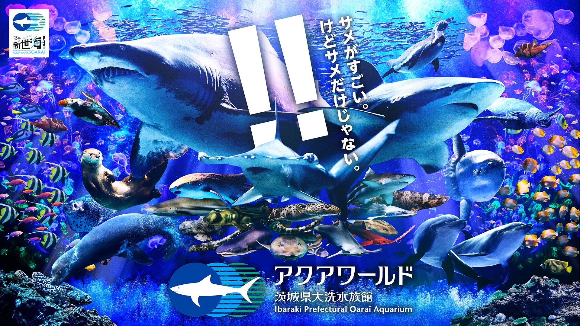 サメがすごい。けどサメだけじゃない。