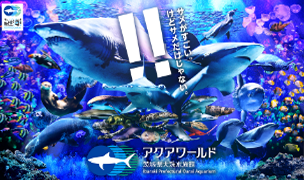 「アクアワールド大洗　全員チケット＆プレゼント付き♪」プラン【1泊2食付】