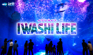 『IWASHI LIFE』