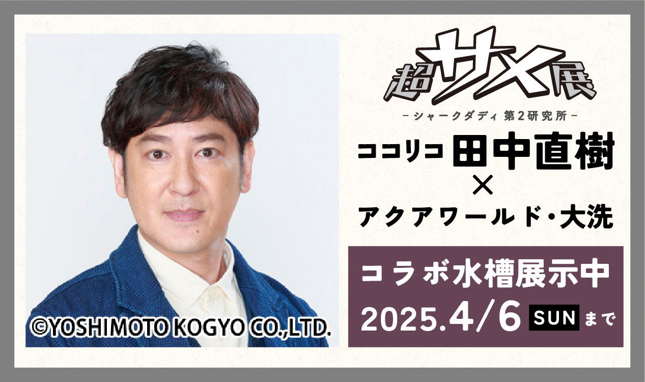 ¡Naoki Tanaka de Cocorico hará que la Exhibición Súper Tiburón sea aún más emocionante!