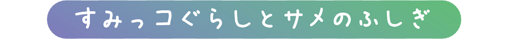 すみっコぐらしとサメのふしぎ
