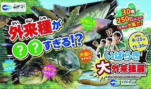 外来種が○○すぎる!?いばらき大外来種展 