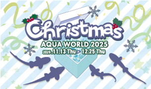 クリスマス アクアワールド 2025 開催中♪