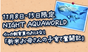 11月8日・15日のナイト営業ではイルカ飼育員のトークイベント開催!
