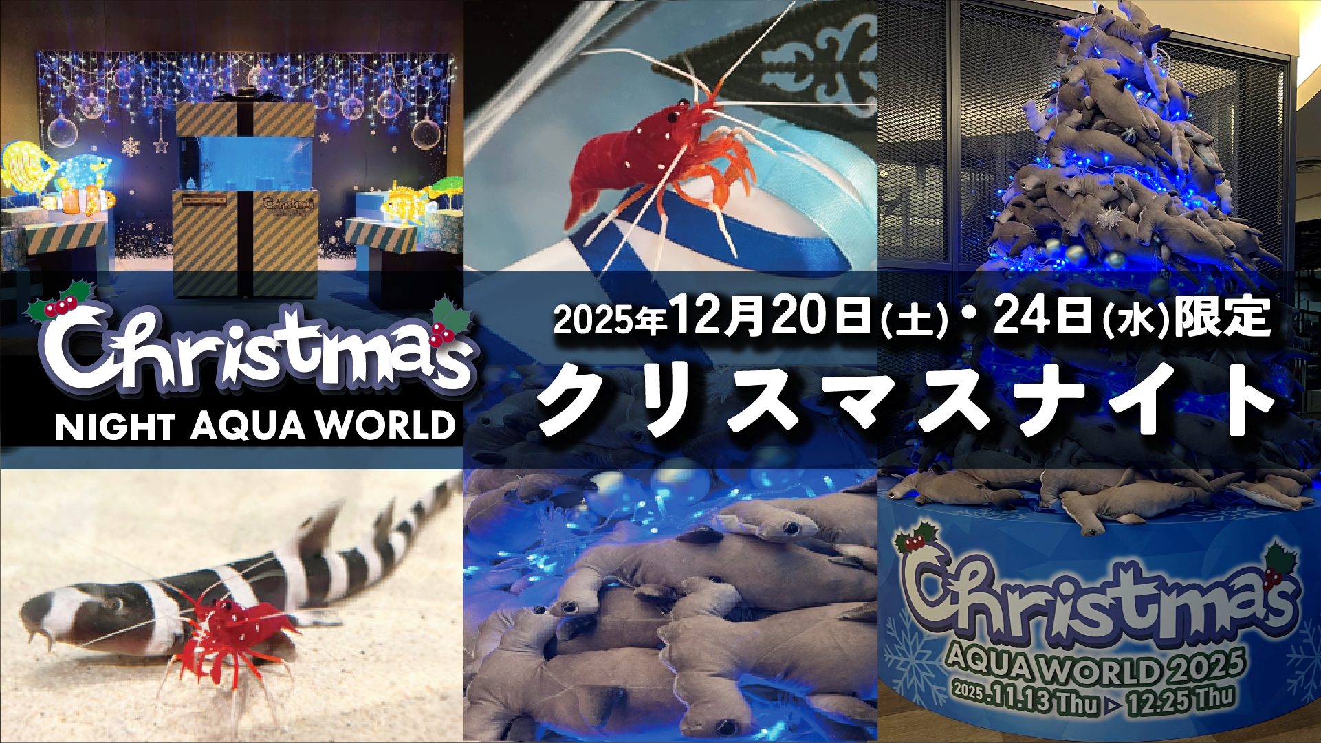 サメがすごい。けどサメだけじゃない。