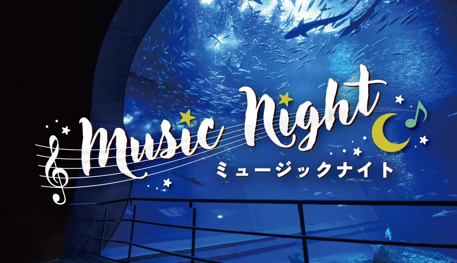 2月の土曜日の夜は『ミュージックナイト』