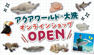 オンラインショップ オープン♪