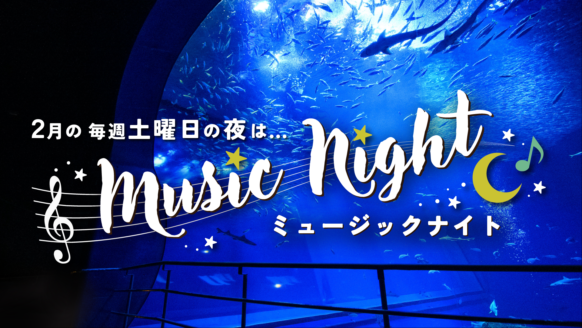 ミュージックナイト