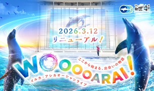 イルカ・アシカオーシャンライブ 3月12日(木)リニューアル！