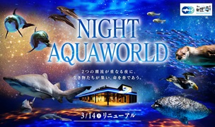 新たなNIGHT AQUAWORLD 3月14日(土)にスタート