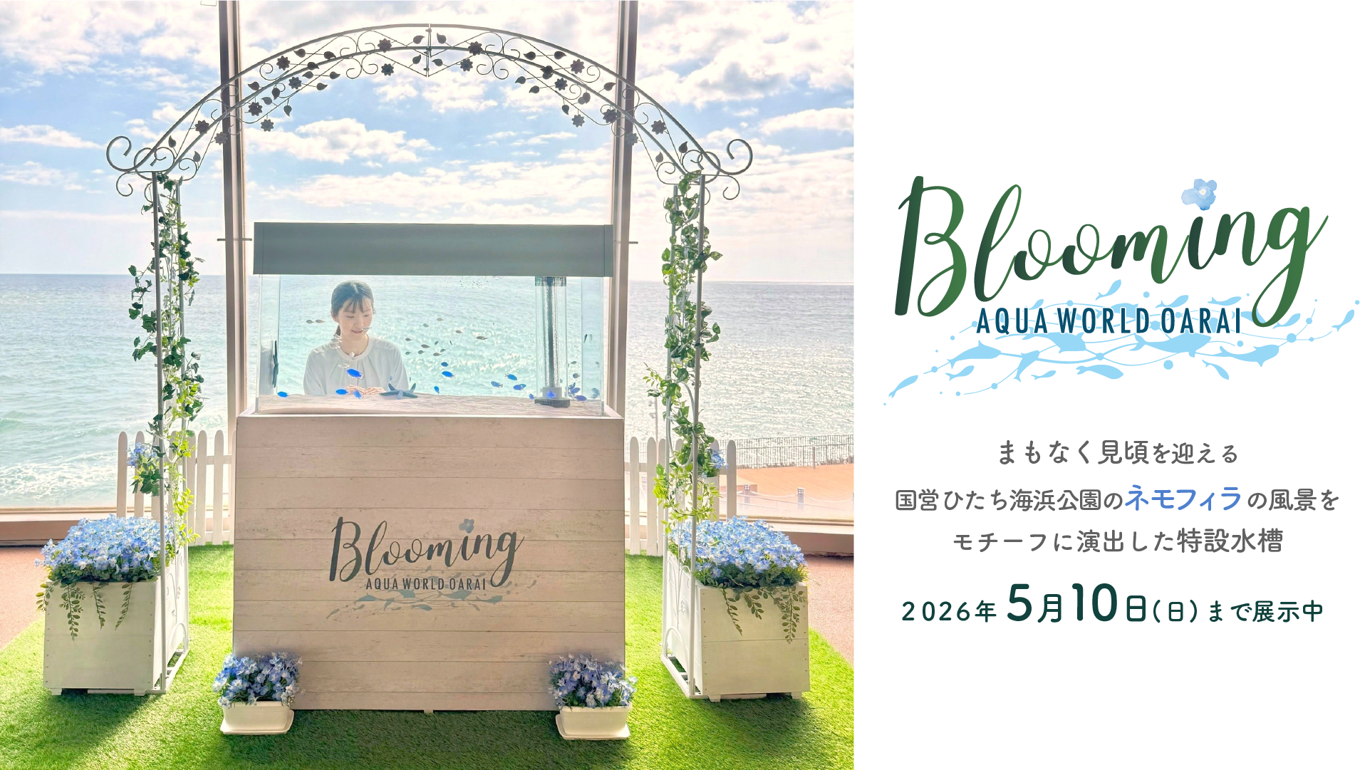 サメがすごい。けどサメだけじゃない。