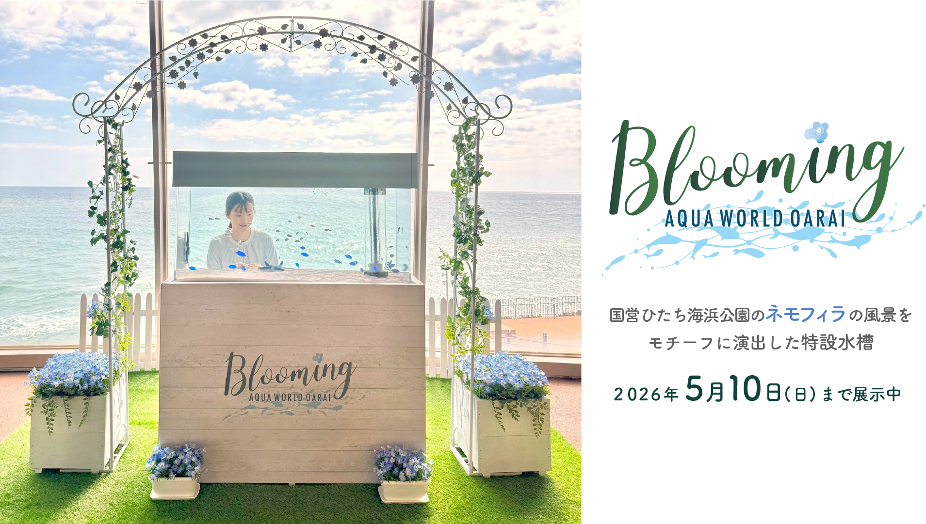 サメがすごい。けどサメだけじゃない。