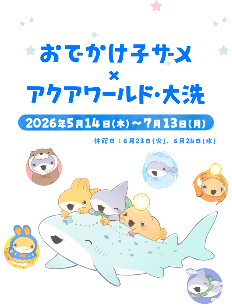 おでかけ子ザメ × アクアワールド・大洗 2026年5月14日(木)〜7月13日(月) アクアワールド・大洗にて開催 休館日6月23日(火)、6月24日(水)