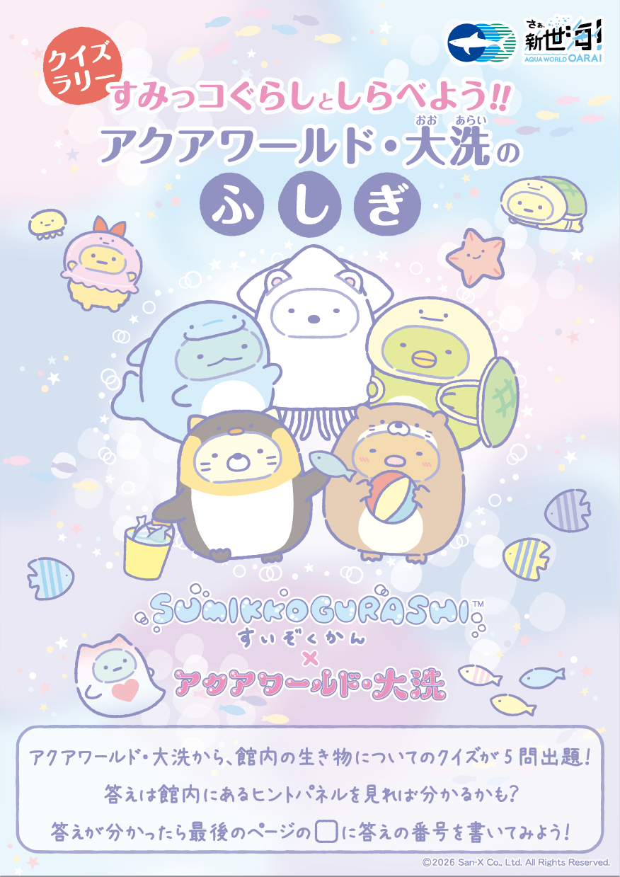 すみっこぐらしとしらべよう！！