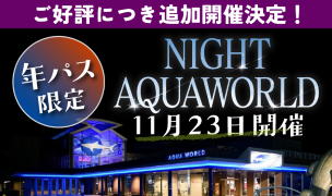 追加開催!11/23開催【年パス限定】NIGHT AQUAWORLD