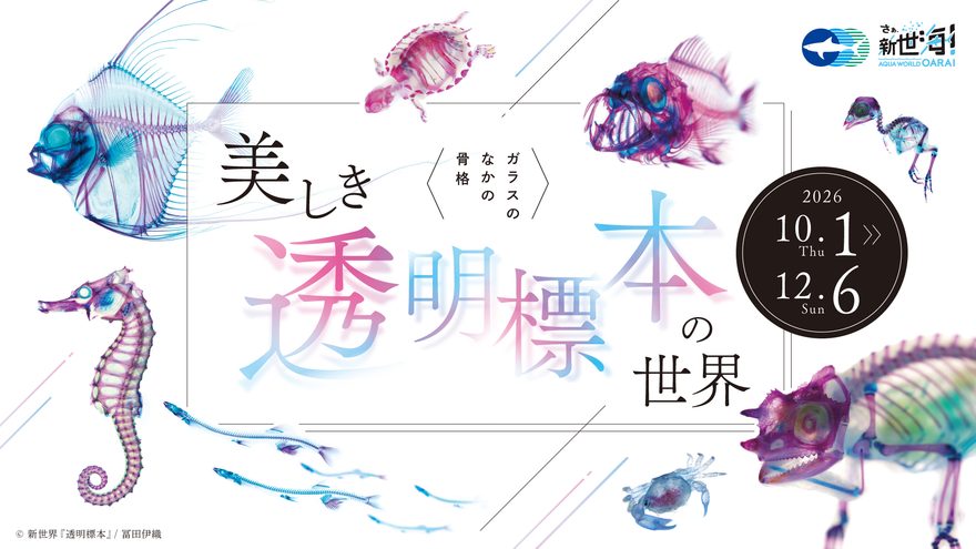 ガラスのなかの骨格〉美しき透明標本の世界」10月1日から開催