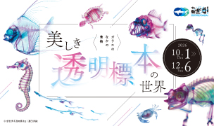 「〈ガラスのなかの骨格〉美しき透明標本の世界」10/1~12/6開催