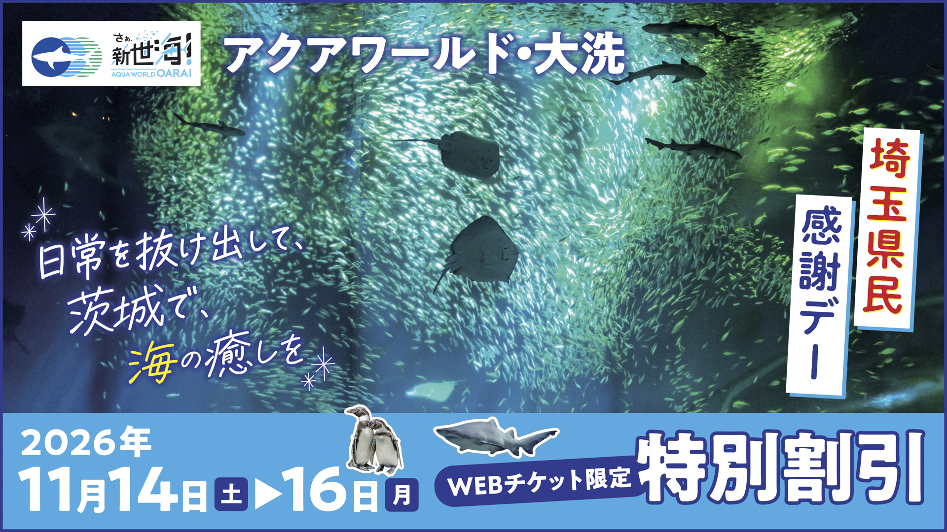 埼玉県民感謝デー  特別割引実施！