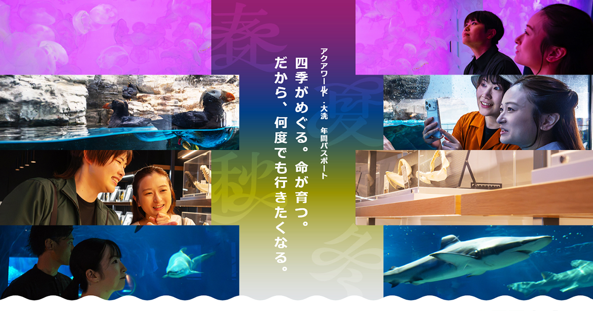 年間パスポート | アクアワールド茨城県大洗水族館【公式】